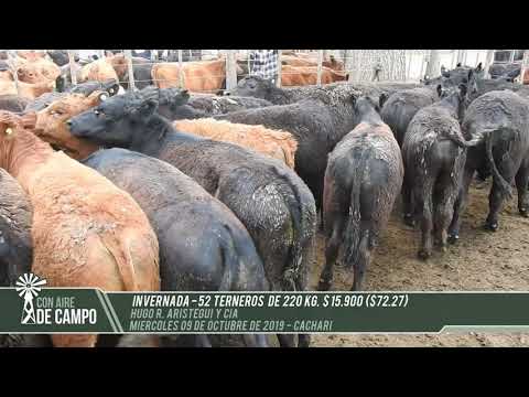 Resumen del remate de Hugo R Aristegui - Miércoles 9 de octubre de 2019 - Cachari