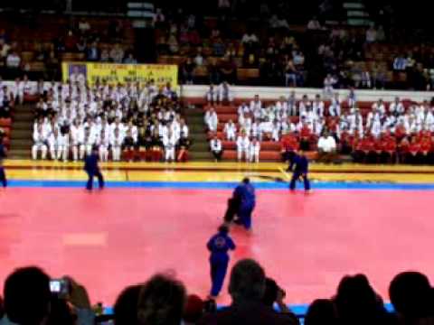 Grand Master Hwang Judo Exhibition