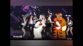 BTOB Rapp Line - Icebreaker