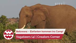 Safari Ranger in Botswana – Elefanten im Camp! | Vagateers | Creators 