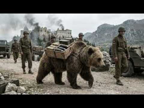 The Story of Wojtek | The Polish Military Bear