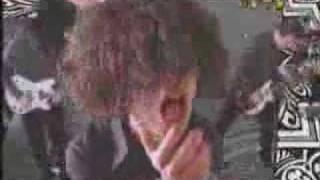 The Bled - Dale Earnhardt&#39;s Seatbelt