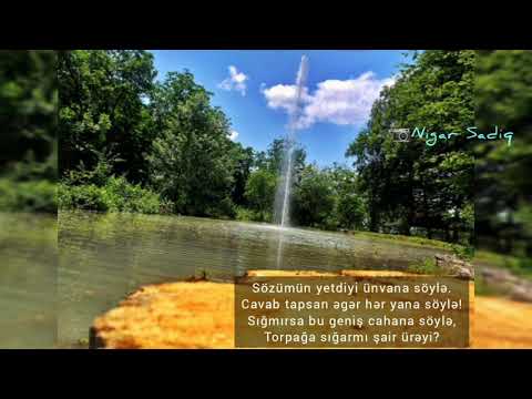 Şair ürəyi (Şeir)