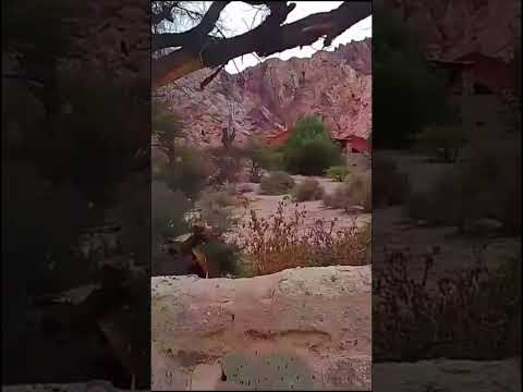 pintarme un cuadro así!! #turismo #ytshorts #paisajesextremos #colores