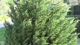 vento-forte-in-campania