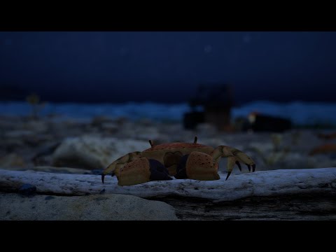 "She's All Washed Up" -- CG Pro Insiders Challenge - Spooky Halloween (2022.10.23) FINAL