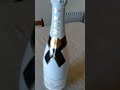 SATISFYING Champagne MOET SHORT VEDIO