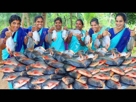ROOPCHAND FISH RECIPE | Peri Peri Fish Fry | Red Pomfret fish Fry in Village | VILLAGE BABYS