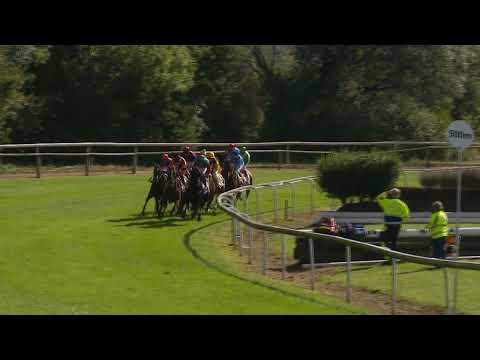 Dielsdorf/24.09.2023/Preis des Rennverein's Zurich - 1. Abteilung