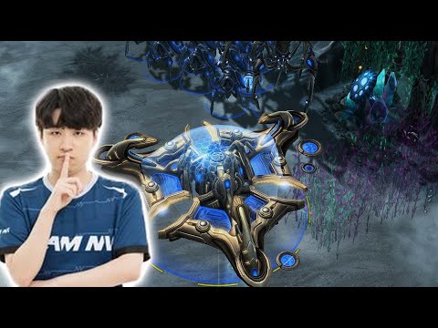 Maru vs The MOTHERSHIP | Maru (T) vs Creator (P)