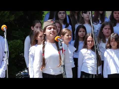 Teodora Stojanović iz Vranja peva partizansku pesmu "Sivi sokole"