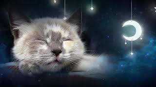 Relaxing Lullaby for Cat and Kitten 🐱💤 (with Cat purring sounds) - CAT MUSIC - 1 HOUR