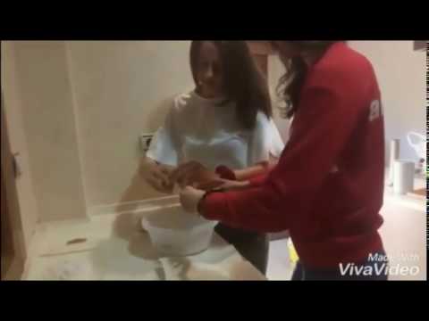 download lagu mp3 mp4 Squidgy Chocolate Torte, download lagu Squidgy Chocolate Torte gratis, unduh video klip Squidgy Chocolate Torte