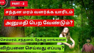 How to get sandalwood license? | How to sale sandalwood tree? | Sandalwood Tree Planting | Tamil