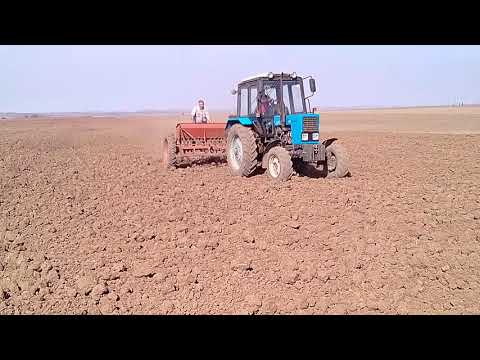 Fatik selka privolni