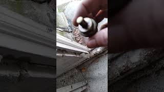 Q5 Audi 2012 coolant temp sensor.