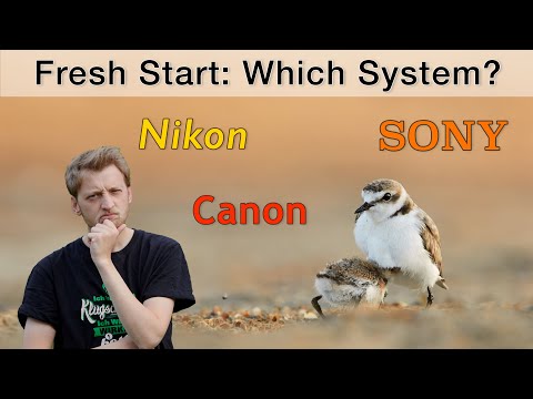 Canon, Sony or Nikon - What would I choose today (thoughts of a wildlife photographer)