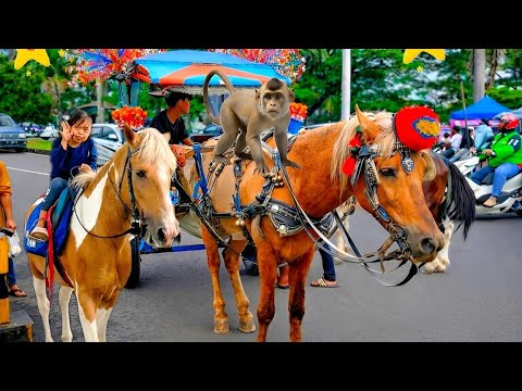 Naik kuda delman Istimewa | Full Lagu Anak-Anak Ceria & Edukatif untuk Si Kecil"Lagu anak indonesia