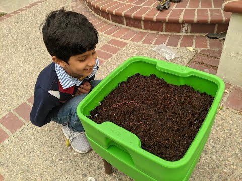 Worm composting made easy: step by step video of everything involved.