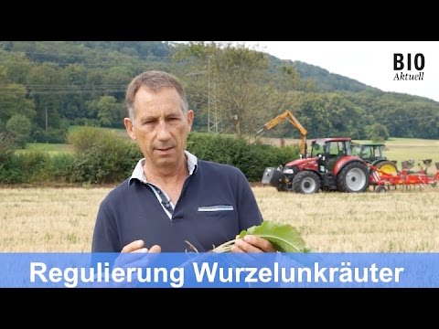 Regulierung von Wurzelunkräutern bei der Stoppelbearbeitung mit Schälpflug oder Grubber (Sept 2016)