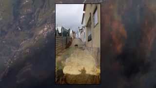 PORTugAL (Slaid Cleaves - Bring It On) HD