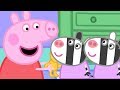 Peppa Pig en Español 🎁 Zaza y Zuzu! | 1 Hora | Pepa la cerdita