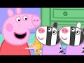 Zaza Y Zuzu Llegan A Casa De Peppa Los Cuentos De Peppa La Cerdita
