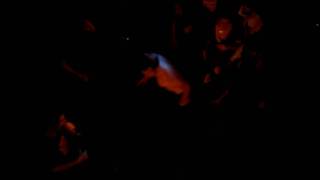 No Roses, No Skies and The Unbreakable-Have Heart @ the Subterranean last show in chicago EVER