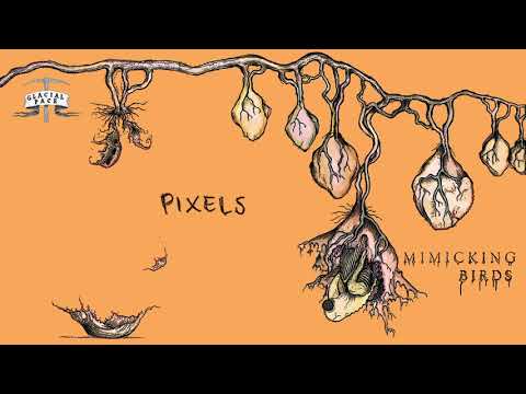 Pixels - Mimicking Birds
