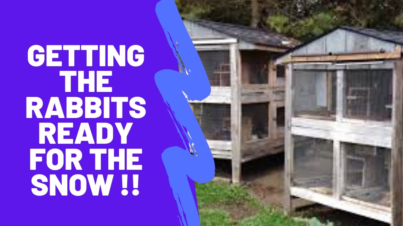 Preparing for Winter - Rabbit hutch update