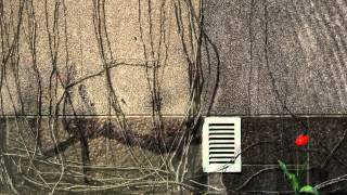 Adam Rafferty - Jills Song - Solo