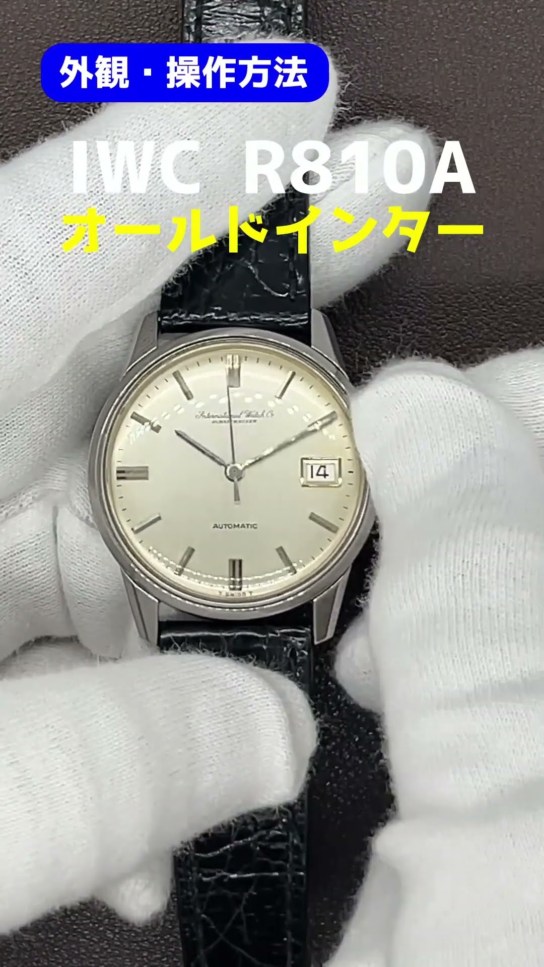 IP-2538| IWC オールドインター Ref.R810A Cal.8541 SS ラウンド 筆記