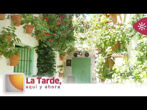 La Tarde aquí y ahora: 'El Patio de la Costurera', unos de los patios más reconocidos de Córdoba