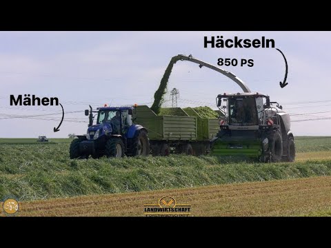Wen sich 850PS durch den Roggen kämpfen! Claas Jaguar 980 - 550ha in 1 Woche machbar! GPS Ernte