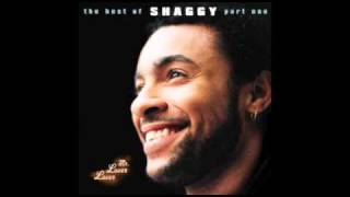 WE ARE THE ONES_ SHAGGY.avi