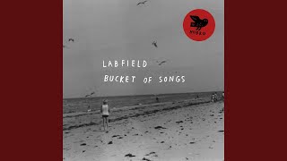 Straight A’s In Constant Sorrow