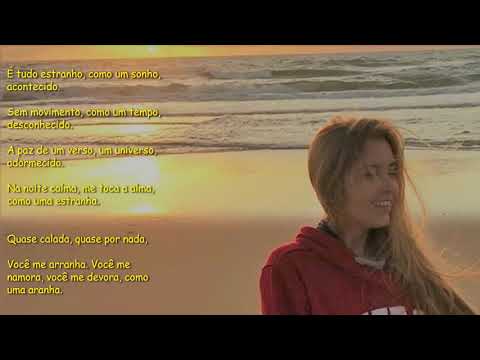 Aranha - Edson Botelho