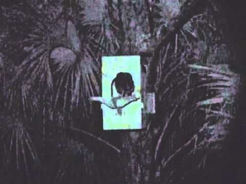 Barred Owl - First visit to new box