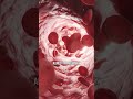 Give Time To Feel The Benefits Of A Carnivore Diet
