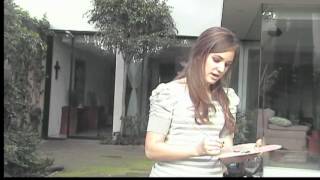 Tips Rodin | Secativo de Cobalto