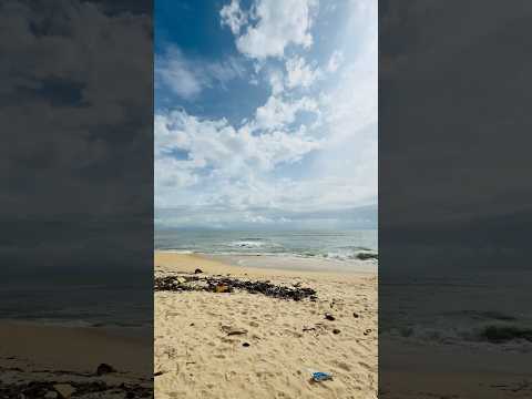 Beach vibes😍 #song #music #beach #beachvideos #yt