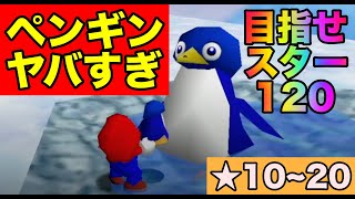 【神ゲー】ペンギンの子供はウチの子より厄介説【マリオ64】