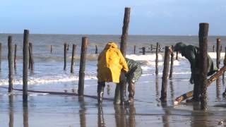 preview picture of video 'Sur le rivage d'Oléron ,Le remplacement d'un pieu de bouchot'
