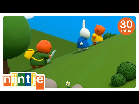 een wandeltocht met betje big | nijntje | het beste van nijntje