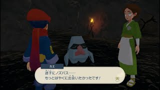 進化アイテム「くろのきせき」確定入手！サブ任務サブ68「方向音痴にノズパスを」ムービー【Pokémon LEGENDS アルセウス】