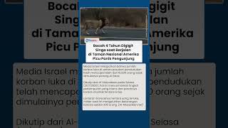 Seorang Bocah 4 Tahun Diserang oleh Seorkor Singa Gunung, Picu Kepanikan Para Pejabat Taman