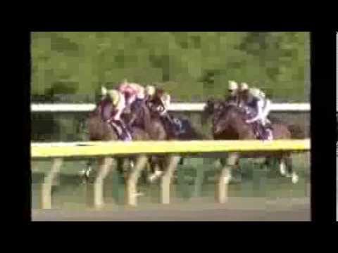 2013.10.27 Tenno Sho (Autumn) - Just a Way