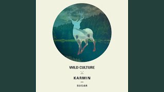 Sugar (Wild Culture vs. Karmin) (Lost Kings Remix)