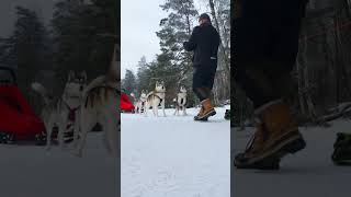 Who Wants ONE Piece of Sausage?