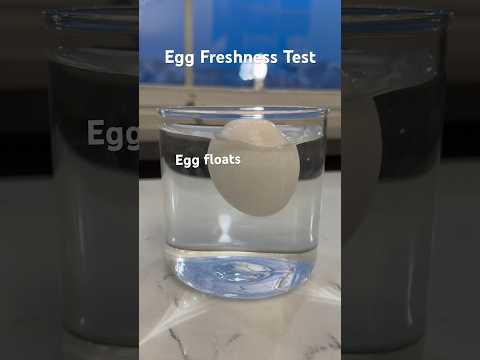 Egg Freshness Test 😲 #healthtips #healthhacks #foodhacks #nutritiontips #shorts